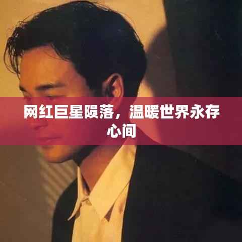 网红巨星陨落，温暖世界永存心间