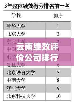 云南绩效评价公司排行榜及影响力深度解析