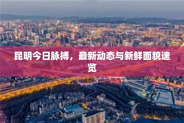 昆明今日脉搏，最新动态与新鲜面貌速览