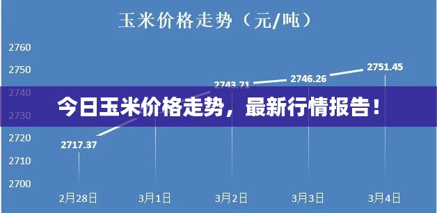 今日玉米价格走势，最新行情报告！
