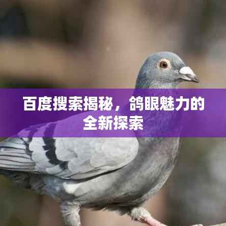 不耻下问 第4页