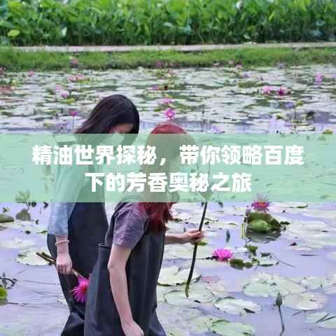 精油世界探秘，带你领略百度下的芳香奥秘之旅