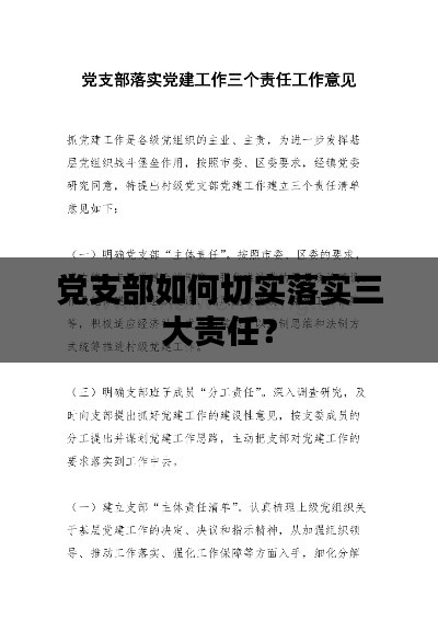 党支部如何切实落实三大责任？