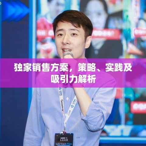 独家销售方案，策略、实践及吸引力解析