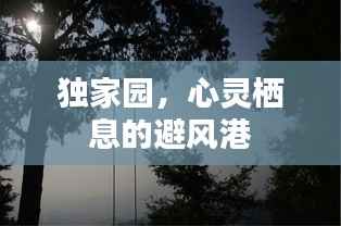 继晷焚膏 第5页