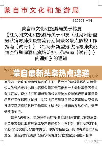 矫枉过正 第3页