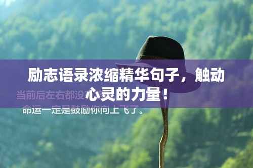 励志语录浓缩精华句子，触动心灵的力量！