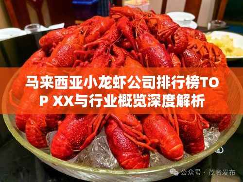 马来西亚小龙虾公司排行榜TOP XX与行业概览深度解析