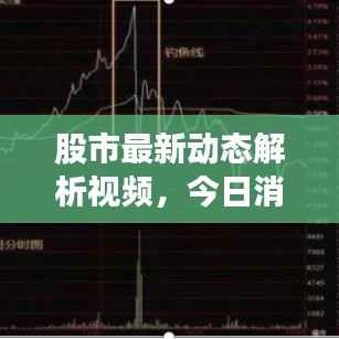 股市最新动态解析视频，今日消息一网打尽