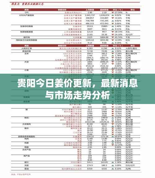 贵阳今日姜价更新，最新消息与市场走势分析