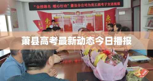 萧县高考最新动态今日播报