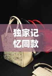 独家记忆同款包包，时尚潮流中的独特风尚标识
