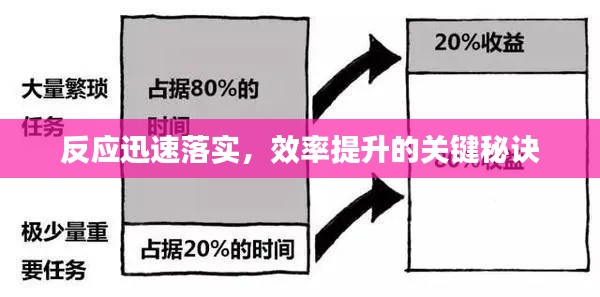 反应迅速落实，效率提升的关键秘诀