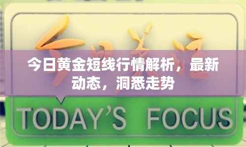 今日黄金短线行情解析，最新动态，洞悉走势
