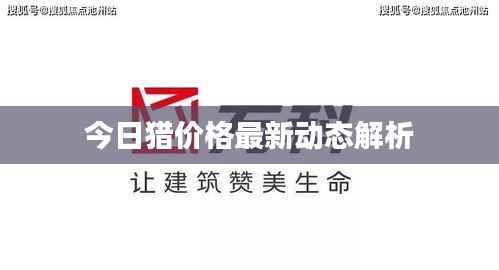 今日猎价格最新动态解析