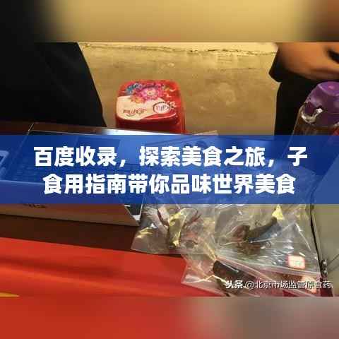 百度收录，探索美食之旅，子食用指南带你品味世界美食