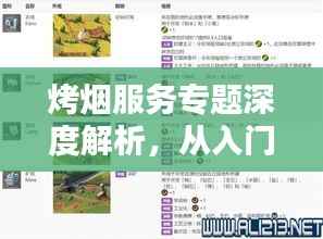 烤烟服务专题深度解析，从入门到精通的全方位指南