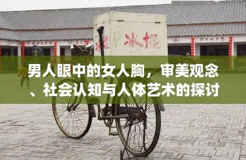 男人眼中的女人胸，审美观念、社会认知与人体艺术的探讨
