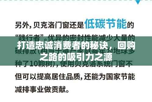 打造忠诚消费者的秘诀，回购之路的吸引力之源