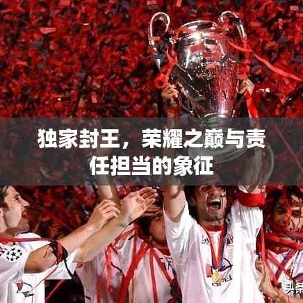 独家封王，荣耀之巅与责任担当的象征