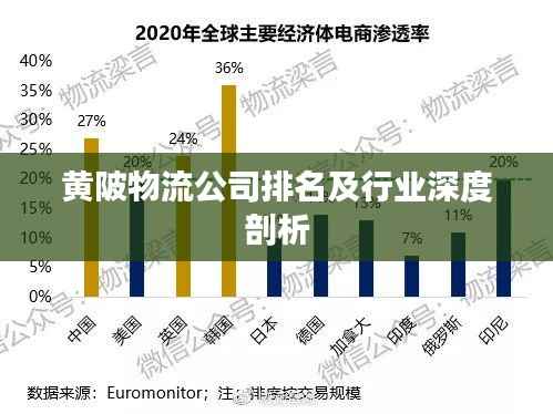 黄陂物流公司排名及行业深度剖析