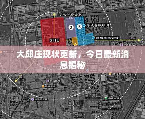 大邱庄现状更新，今日最新消息揭秘