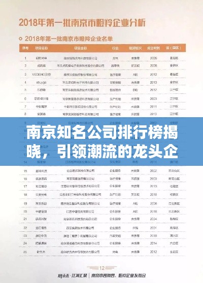 南京知名公司排行榜揭晓，引领潮流的龙头企业榜单出炉！