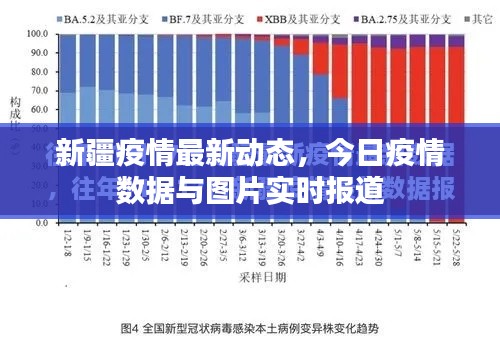 饭来张口 第5页