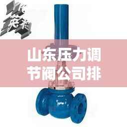 山东压力调节阀公司排名大揭秘，权威榜单，行业领先的几家企业！