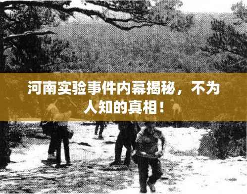 河南实验事件内幕揭秘，不为人知的真相！