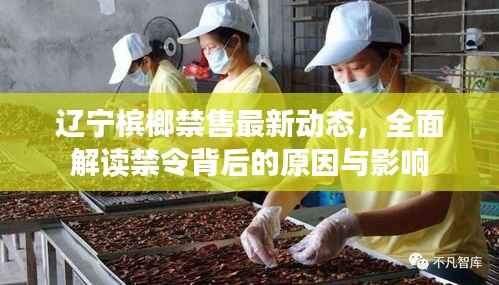 辽宁槟榔禁售最新动态，全面解读禁令背后的原因与影响