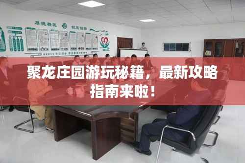 聚龙庄园游玩秘籍，最新攻略指南来啦！