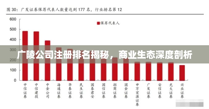 广陵公司注册排名揭秘，商业生态深度剖析