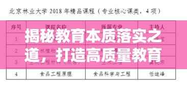 揭秘教育本质落实之道，打造高质量教育环境的关键策略