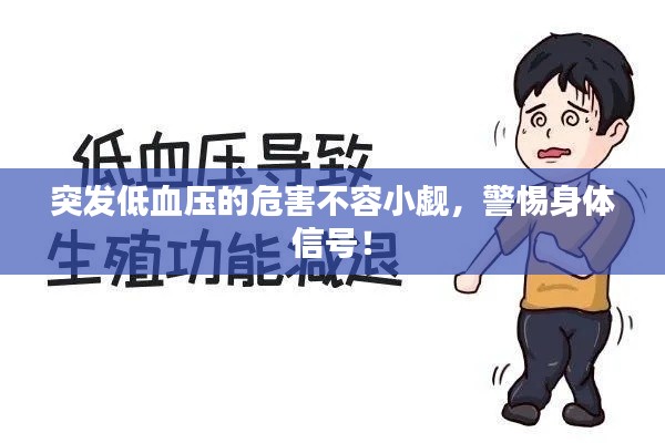突发低血压的危害不容小觑，警惕身体信号！