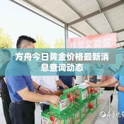 方舟今日黄金价格最新消息查询动态