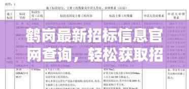 鹤岗最新招标信息官网查询，轻松获取招标信息的便捷途径