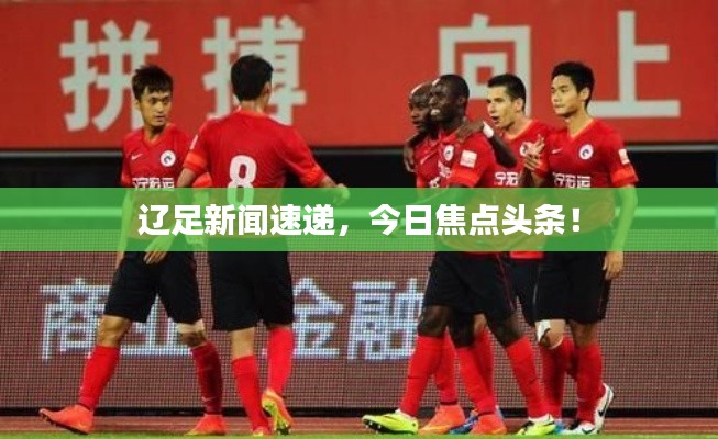 辽足新闻速递，今日焦点头条！