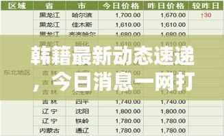 韩籍最新动态速递，今日消息一网打尽