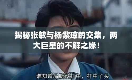揭秘张敏与杨紫琼的交集，两大巨星的不解之缘！