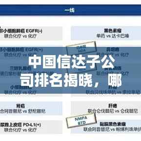 中国信达子公司排名揭晓，哪些子公司脱颖而出？