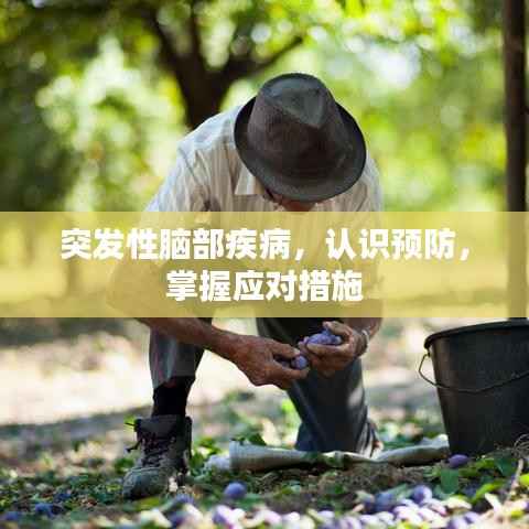 突发性脑部疾病，认识预防，掌握应对措施
