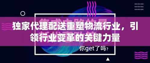 独家代理配送重塑物流行业，引领行业变革的关键力量