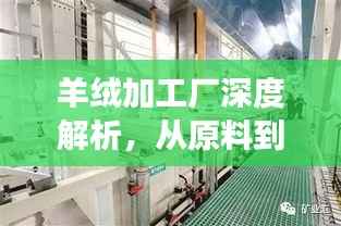 羊绒加工厂深度解析，从原料到成品，百度带你探秘羊绒加工之旅