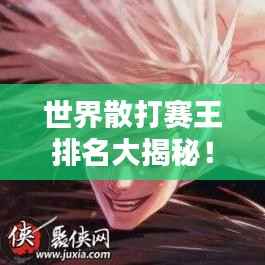 世界散打赛王排名大揭秘！