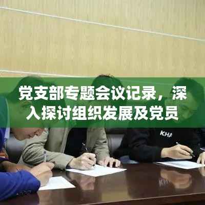 党支部专题会议记录，深入探讨组织发展及党员责任