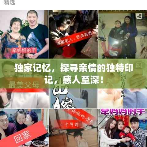 独家记忆，探寻亲情的独特印记，感人至深！