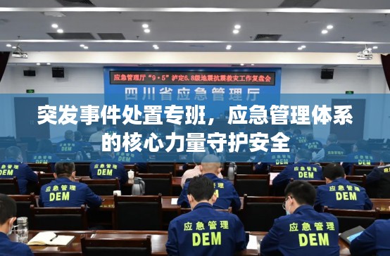 突发事件处置专班，应急管理体系的核心力量守护安全