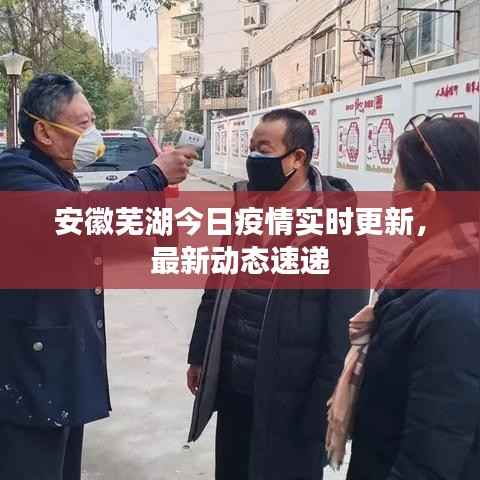 安徽芜湖今日疫情实时更新，最新动态速递