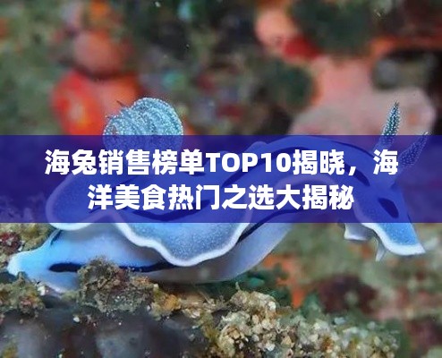 海兔销售榜单TOP10揭晓，海洋美食热门之选大揭秘